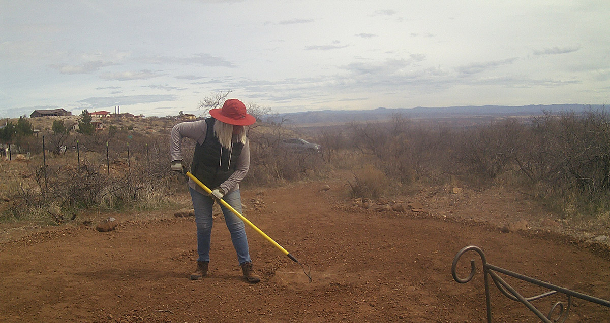 Volunteer